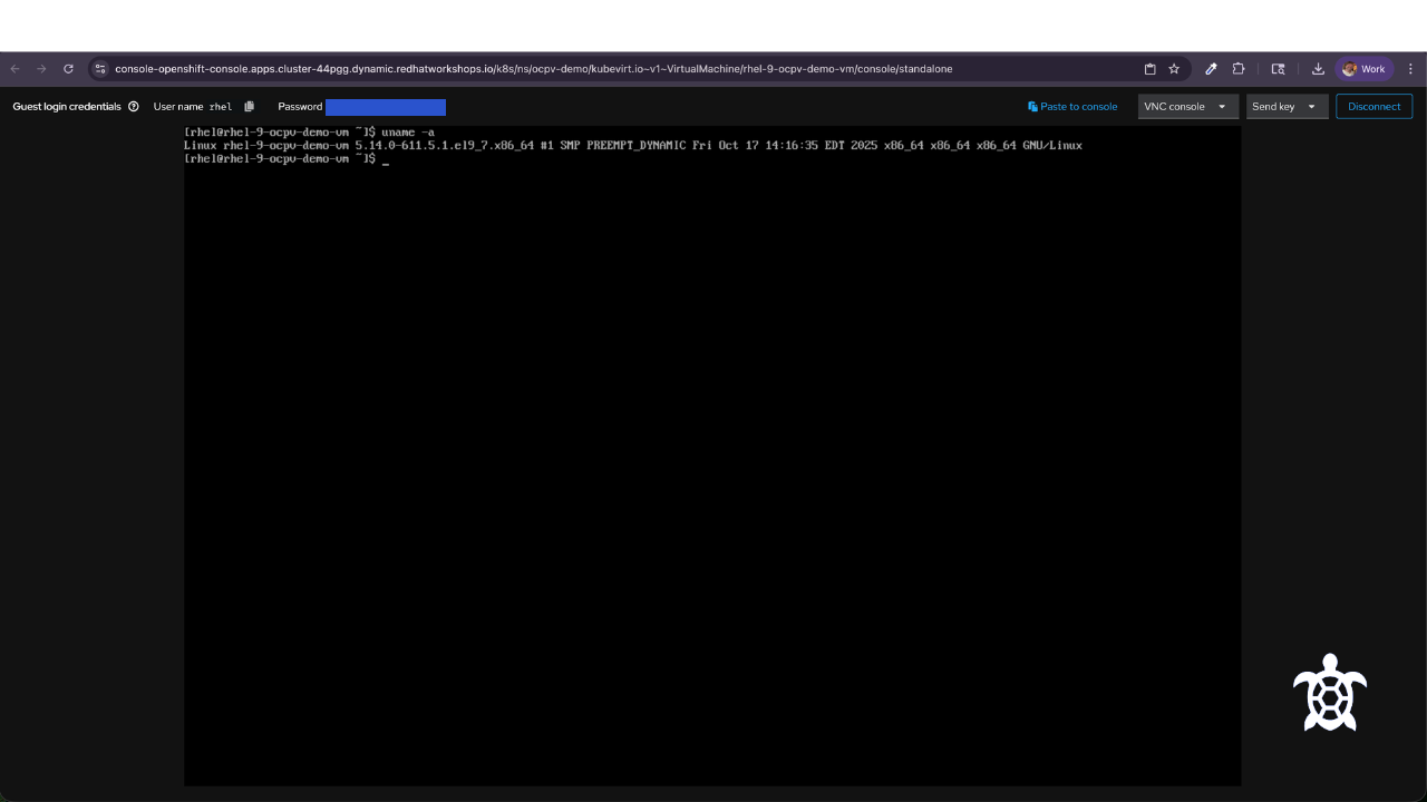 ocpv-virtualmachines-web-console-uname-a